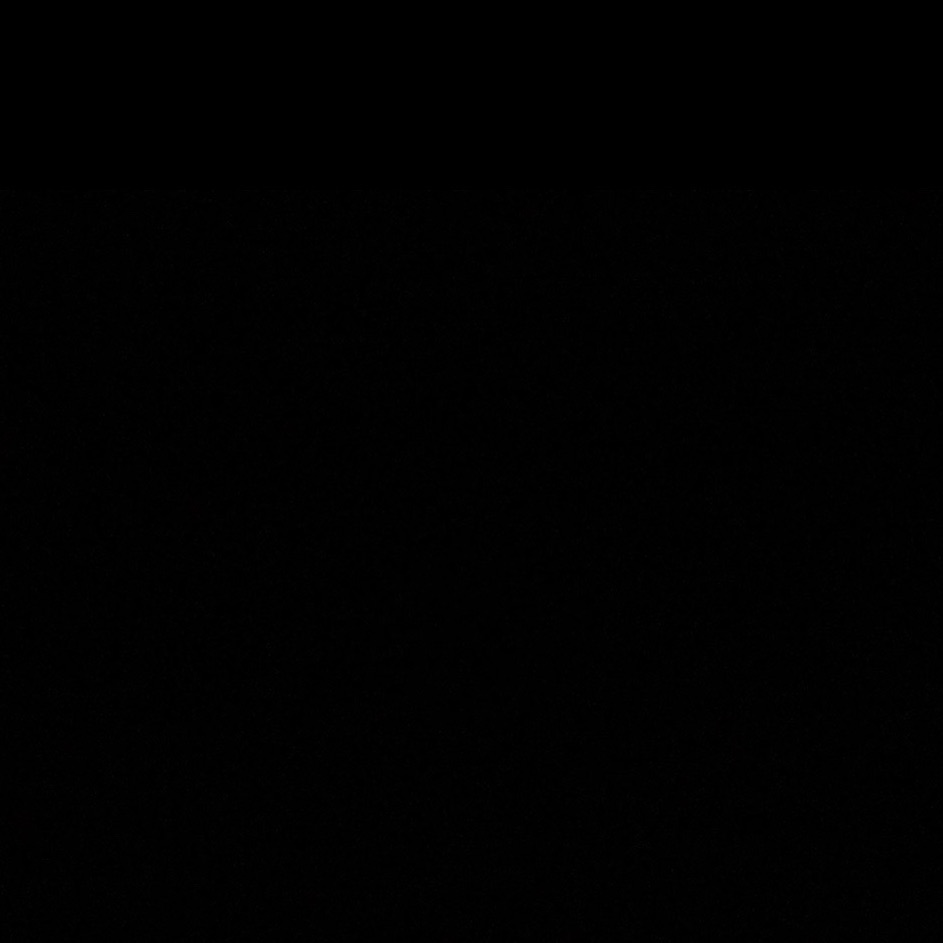 vvsbleek